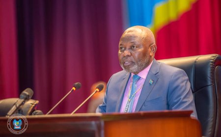 Vital Kamerhe interpelle le gouvernement sur la nécessité d’assurer une prise en charge effective des miliciens Mobondo ayant déposé les armes