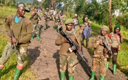 Ituri : 4 miliciens de la CRP tués lors d’affrontements avec les FARDC à Djugu