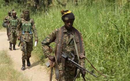 Ituri : Six groupes armés signent un accord de paix