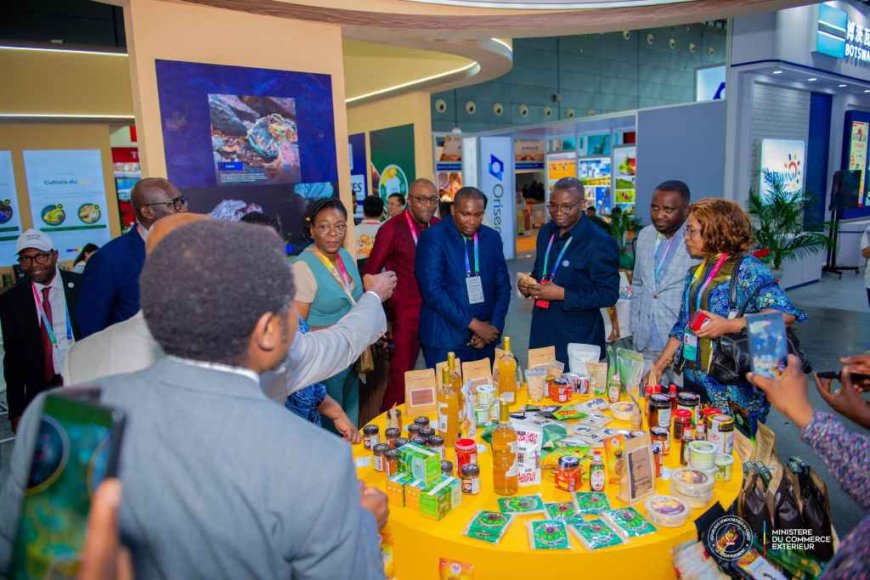 4e édition de l’exposition économique et commerciale sino-africaine à Changsha : Le stand congolais attire du monde