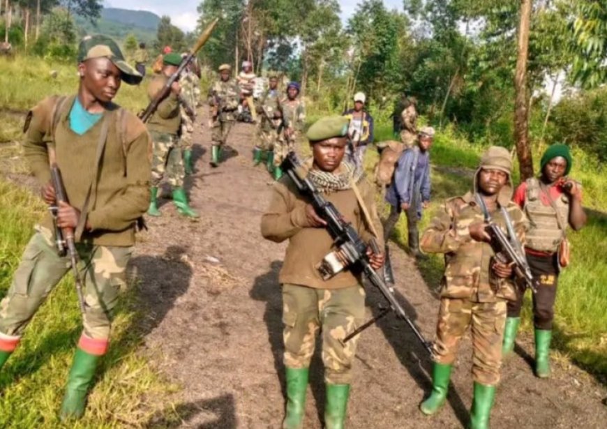 Ituri : 4 miliciens de la CRP tués lors d’affrontements avec les FARDC à Djugu