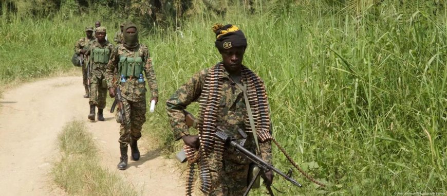 Ituri : Six groupes armés signent un accord de paix