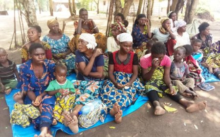 Ituri: 23 otages libérés par les terroristes ADF à Mambassa