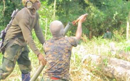 Ituri: les armées congolaise et ougandaise bombardent les bastions des ADF à Lolwa (Mambasa)