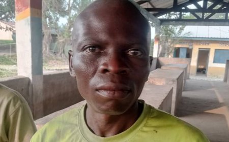Kwamouth : cinq miliciens Mobondo déposent les armes et se rendent à l’armée, d’autres prêts à suivre