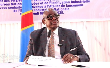 RDC: lancement ce mercredi de l’enquête industrielle nationale 2025 par Louis Watum Kabamba