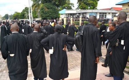 Sit-in des nouveaux magistrats clochardisés : le CSM menace les protestataires des poursuites disciplinaires