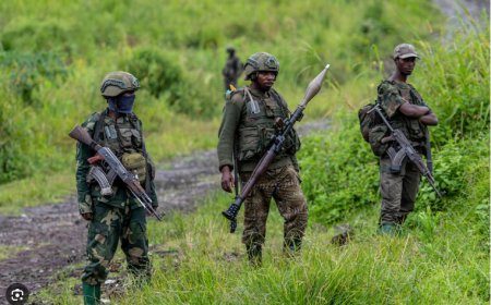 Sud-Kivu : les FARDC dénoncent les attaques répétées de l’AFC-M23 à Kalehe