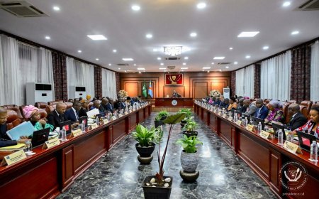 RDC – Remaniement gouvernemental : Tshisekedi face au défi d’étouffer l’héritage de Kabila (Tribune de Jo M. Sekimonyo)