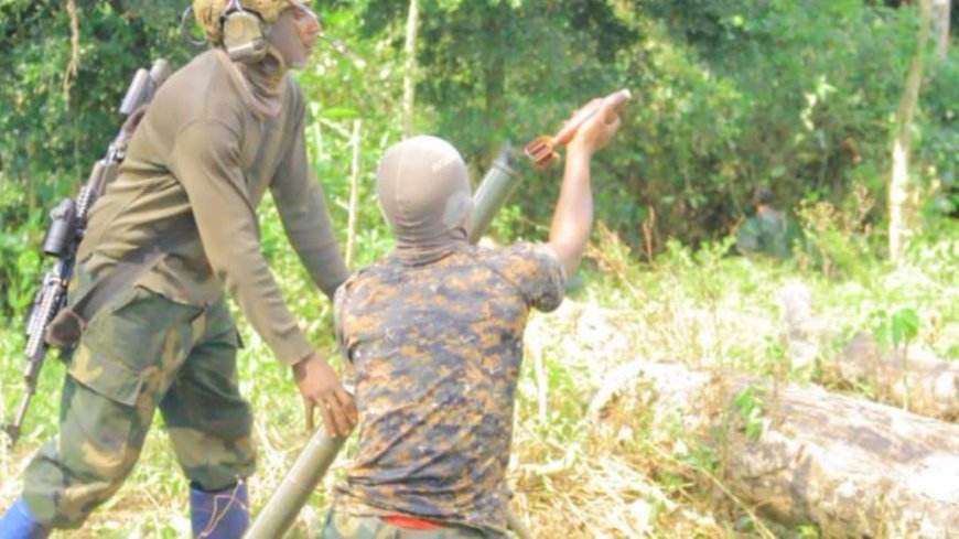 Ituri: les armées congolaise et ougandaise bombardent les bastions des ADF à Lolwa (Mambasa)