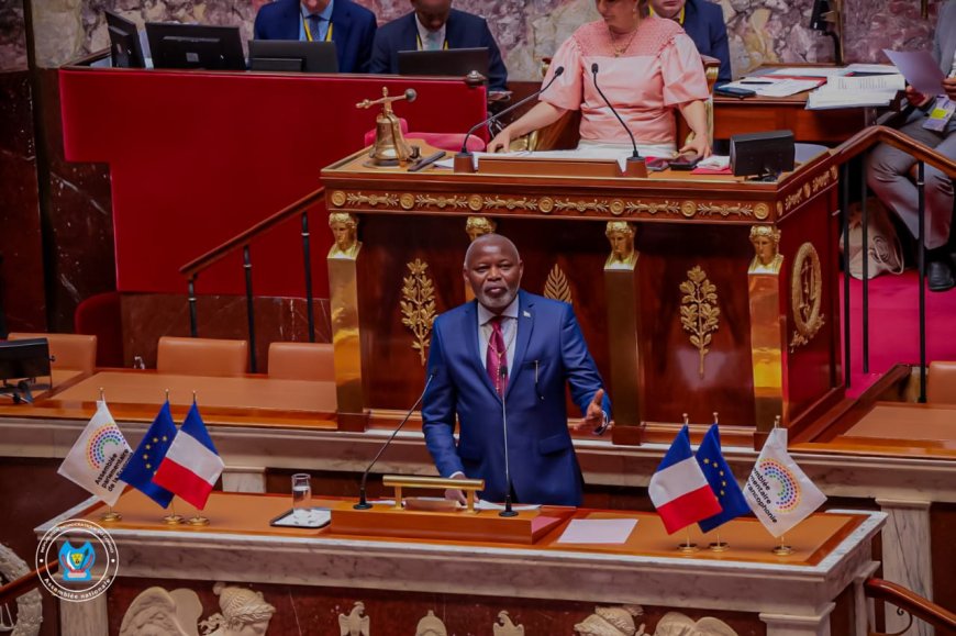 Conflit RDC-Rwanda : l'APF adopte une résolution soutenant l'accord de paix signé à Washington