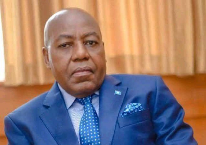 Plus de deux mois après sa détention : Martin Kabwelulu enfin libre