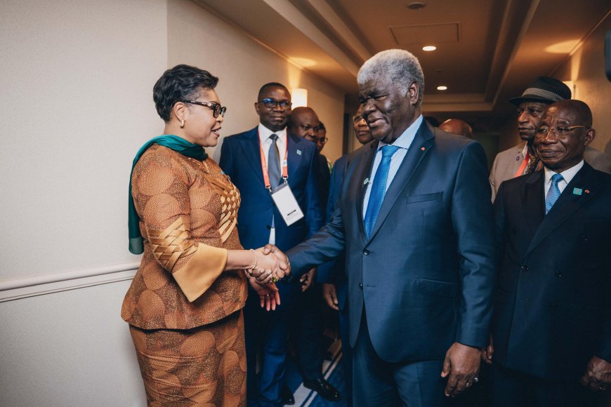 Diplomatie : la RDC et la Côte d’Ivoire renforcent leurs relations bilatérales
