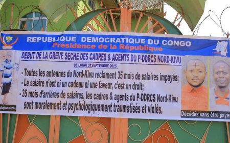 Nord-Kivu : les agents et cadres du PDDRC-S, impayés depuis 35 mois, décrètent une grève illimitée