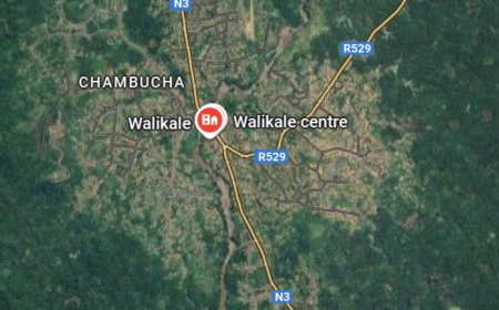 Nord-Kivu : la société civile alerte sur le renforcement militaire de l'AFC-M23 à Walikale