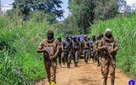 Nord-Kivu : les FARDC reprennent le village de Katobi au M23/AFC après de violents combats