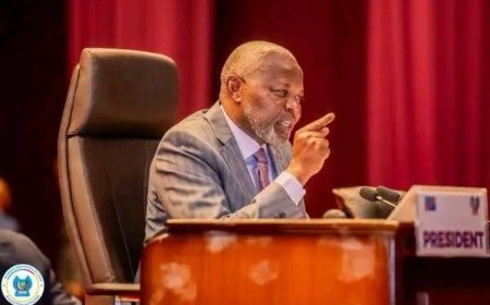 Assemblée nationale : Vital Kamerhe cède à la pression des pétitionnaires et démissionne 