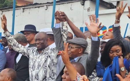 UDPS-Tshisekedi : Kabuya - Bizibu, la poignée de main qui scelle la paix