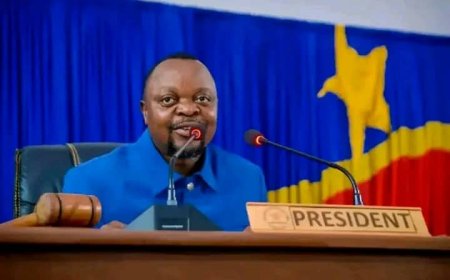 Kongo central : le président de l'Assemblée provinciale démissionne sous la pression d'une pétition