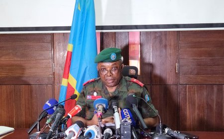 Processus de paix de Washington : les FARDC pressent les FDLR de déposer les armes