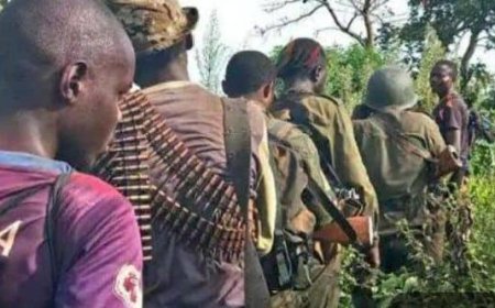 Kwilu : une attaque des miliciens Mobondo se solde par le pillage de 150 sacs de produits agricoles et la prise d'otages