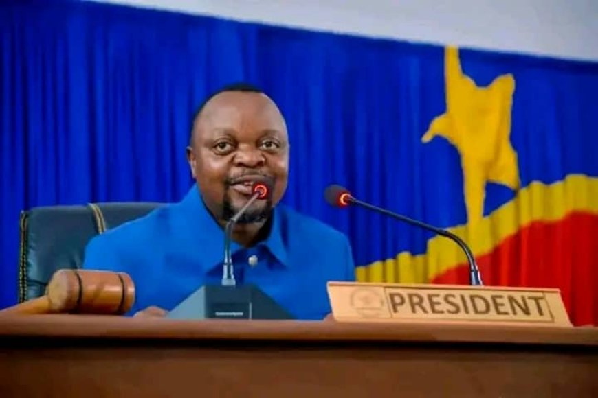 Kongo central : le président de l'Assemblée provinciale démissionne sous la pression d'une pétition