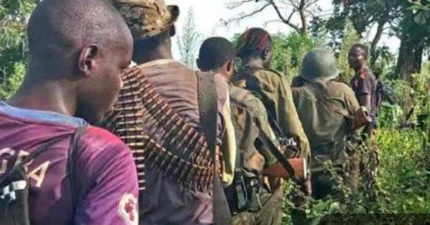 Kwilu : une attaque des miliciens Mobondo se solde par le pillage de 150 sacs de produits agricoles et la prise d'otages