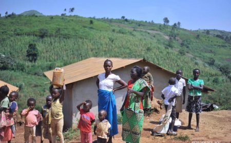 Ituri : une accalmie s'observe dans plusieurs agglomérations du territoire de Djugu (société civile)