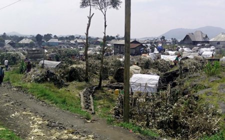 Au Nord-Kivu, les FARDC reprennent Katoyi à l'AFC-M23 et font 28 prisonniers