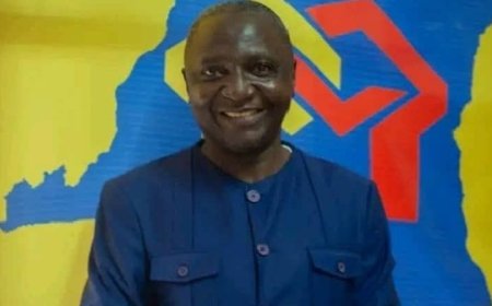 RDC : nouvelle arrestation nocturne d'un cadre du PPRD, après Shadari et Kamizelo