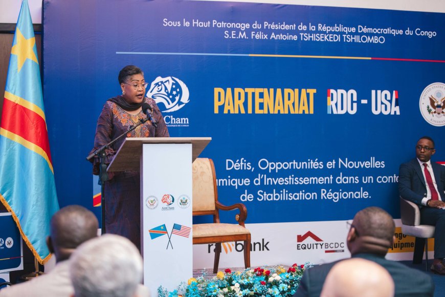 ‎RDC-USA : Washington et Kinshasa renforcent leur coopération économique autour de l'investissement privé responsable
