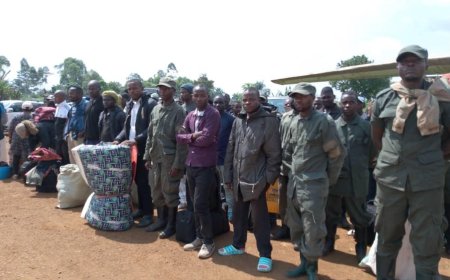 Est de la RDC : l'armée annonce la reddition de plus de 300 rebelles AFC-M23  au Nord et Sud-Kivu