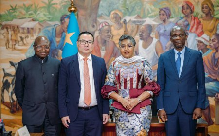 RDC : la firme chinoise LiuGong envisage une implantation industrielle multisite avec transfert de technologie