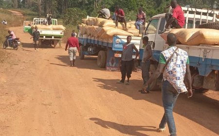 Nord-Kivu : le GAJH dénonce les confiscations "illégales" de cacao à Beni et demande leur restitution