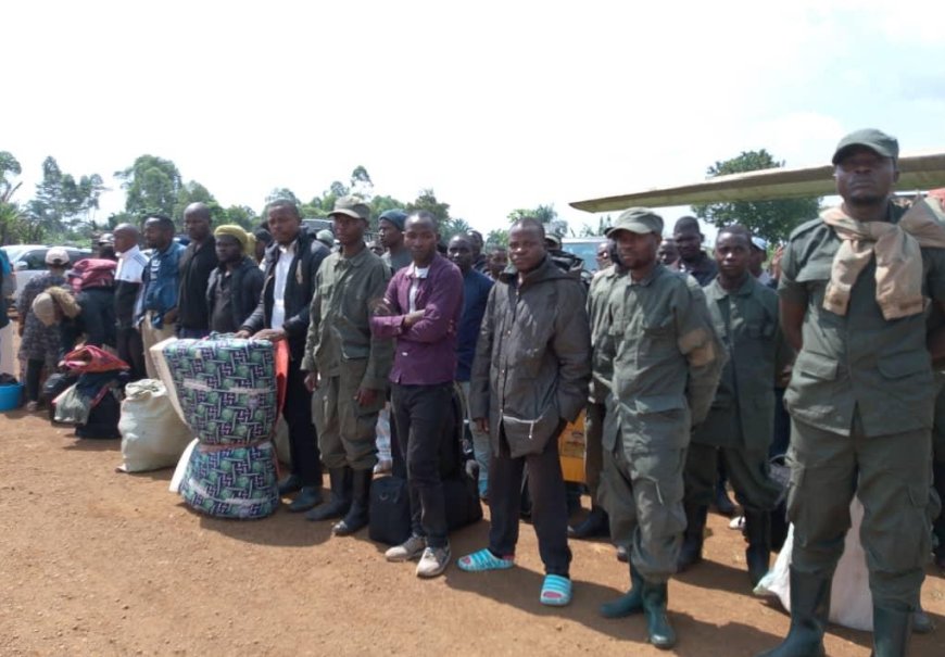 Est de la RDC : l'armée annonce la reddition de plus de 300 rebelles AFC-M23  au Nord et Sud-Kivu