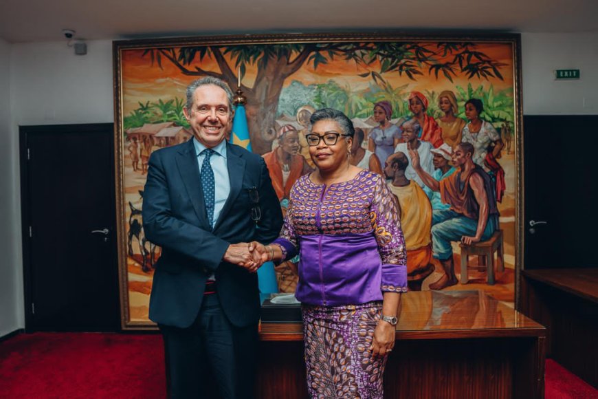 RDC-UE : coordination humanitaire et recherche de la paix au cœur d'un entretien à Kinshasa