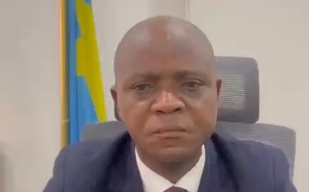 RDC : l'Inspecteur général du travail suspendu pour des propos jugés discriminatoires envers des agents katangais