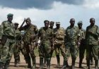 RDC : les FARDC lancent une opération de traque des FDLR dans le cadre de l'accord de Washington