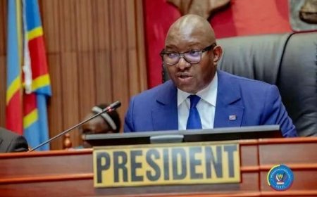 RDC : le Sénat prêt à soutenir le dialogue national selon les modalités de Félix Tshisekedi