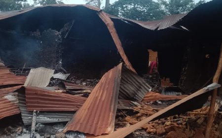 Ituri : nouvelle tuerie attribuée aux ADF à Mambasa, au moins 11 civils tués