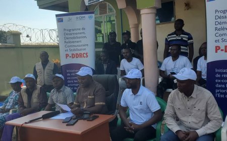 Nord‑Kivu : 42 mois impayés, les agents et cadres du P-DDRCS persistent après sept mois de grève