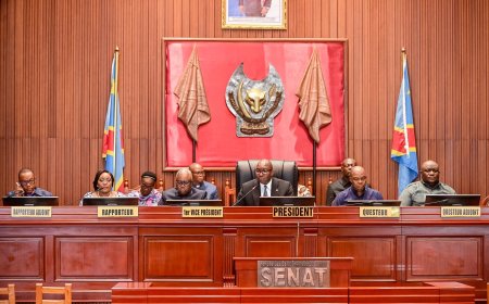 L'élection du nouveau deuxième vice-président du Sénat fixée au 3 avril : Eustache Muhanzi, le candidat idéal ?