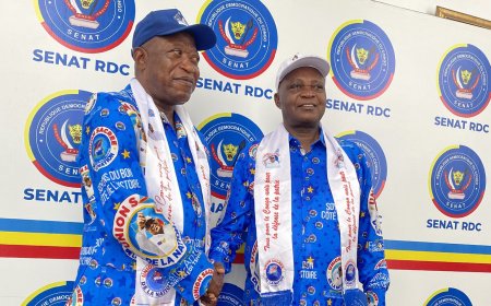 Sénat : Norbert Basengezi, candidat unique de l'Union sacrée pour la deuxième vice-présidence