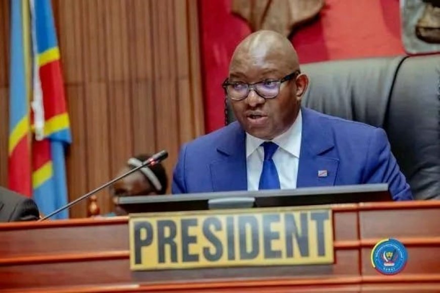 RDC : le Sénat prêt à soutenir le dialogue national selon les modalités de Félix Tshisekedi