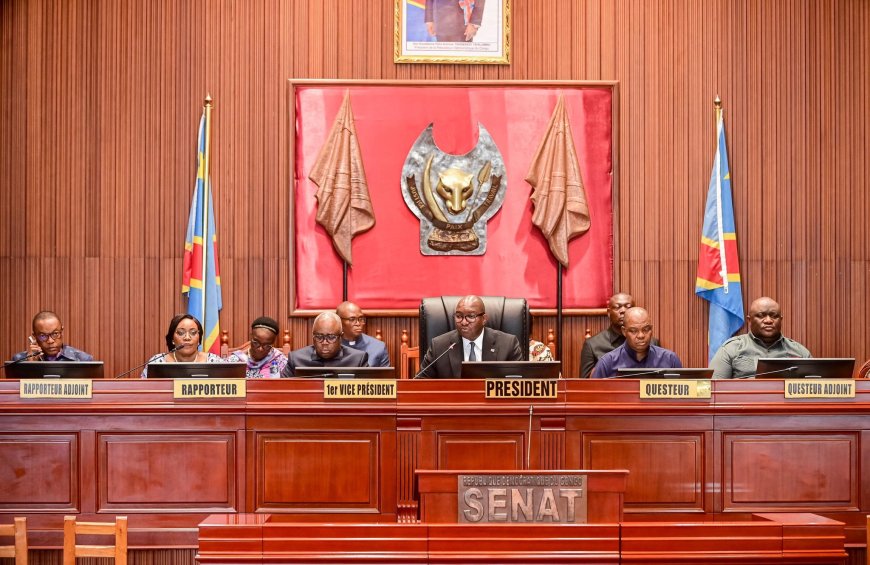 L'élection du nouveau deuxième vice-président du Sénat fixée au 3 avril : Eustache Muhanzi, le candidat idéal ?