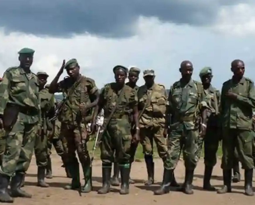 RDC : les FARDC lancent une opération de traque des FDLR dans le cadre de l'accord de Washington