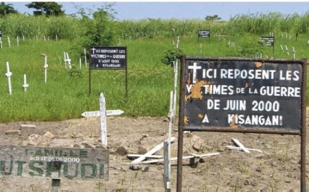 ‎Un million de dollars de victimes englouti : le ministre de la Justice ordonne  une enquête sur un documentaire fantôme financé par FRIVAO