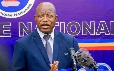 ‎RDC : une proposition de résolution pour élever trois figures emblématiques, dont Étienne Tshisekedi, au rang de héros nationaux déposée à l'Assemblée nationale