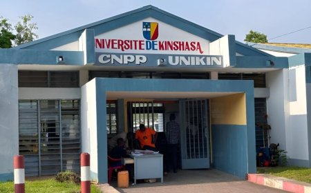 Santé mentale à Kinshasa : 90 % des Kinois souffrent de troubles psychiques, selon un neuropsychiatre