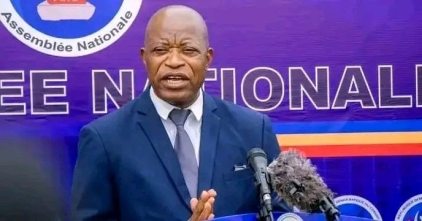 ‎RDC : une proposition de résolution pour élever trois figures emblématiques, dont Étienne Tshisekedi, au rang de héros nationaux déposée à l'Assemblée nationale